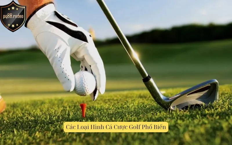 Các Loại Hình Cá Cược Golf Phổ Biến