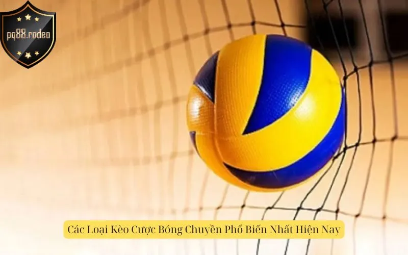 Các Loại Kèo Cược Bóng Chuyền Phổ Biến Nhất Hiện Nay