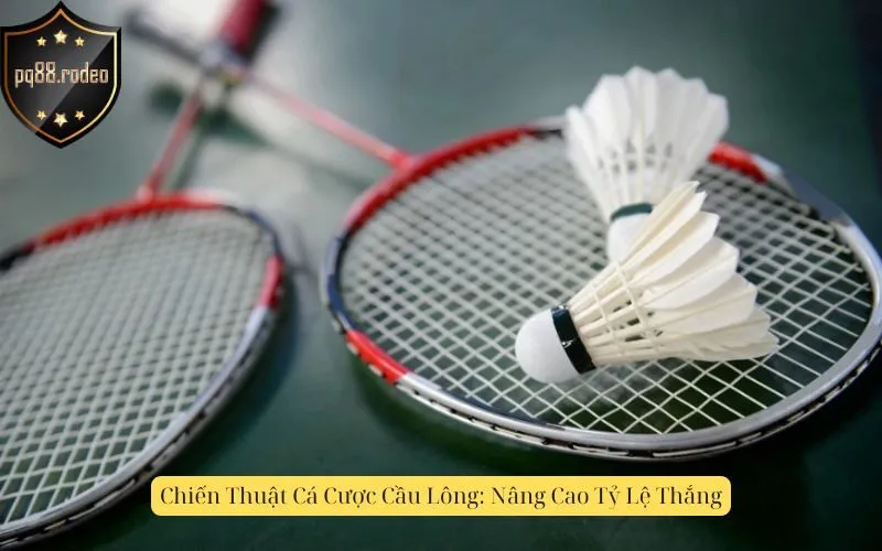 Chiến Thuật Cá Cược Cầu Lông: Nâng Cao Tỷ Lệ Thắng