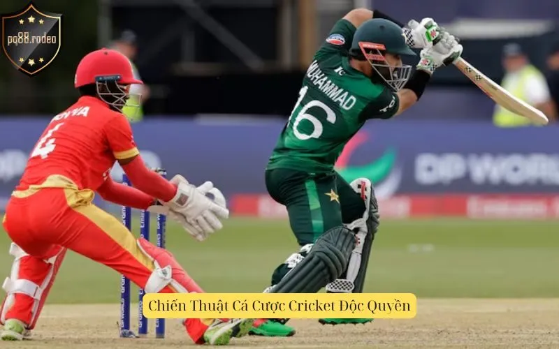 Chiến Thuật Cá Cược Cricket Độc Quyền