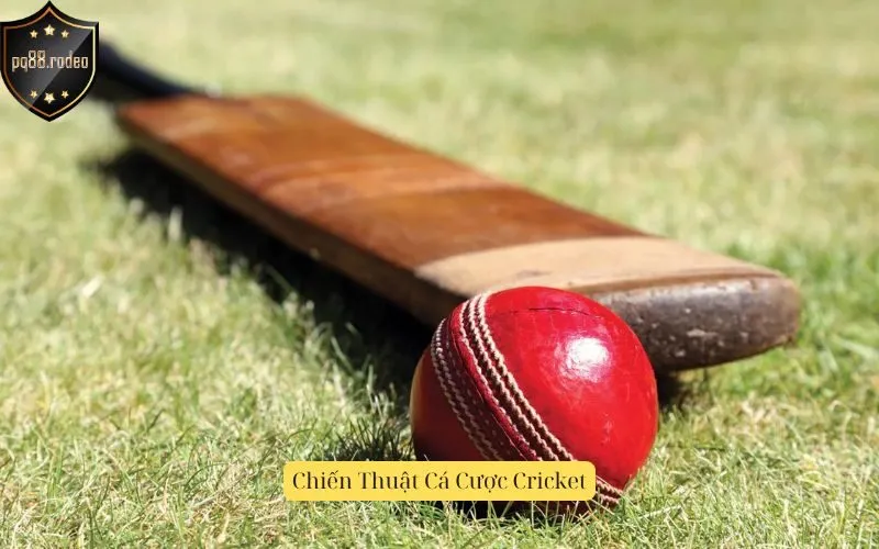 Chiến Thuật Cá Cược Cricket