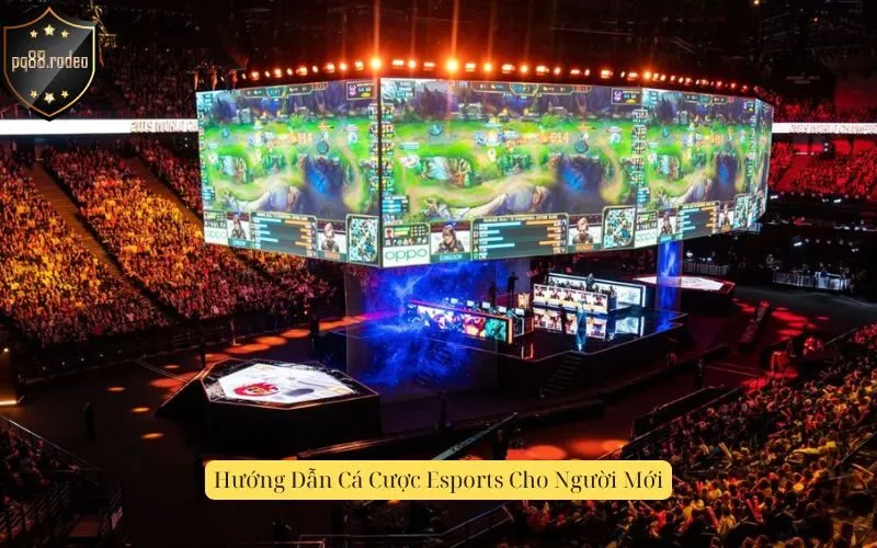 Hướng Dẫn Cá Cược Esports Cho Người Mới