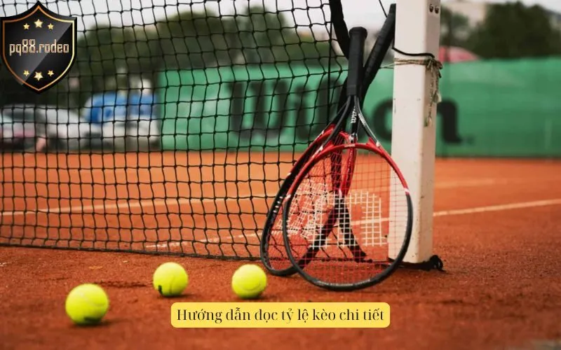 Hướng dẫn đọc tỷ lệ kèo chi tiết