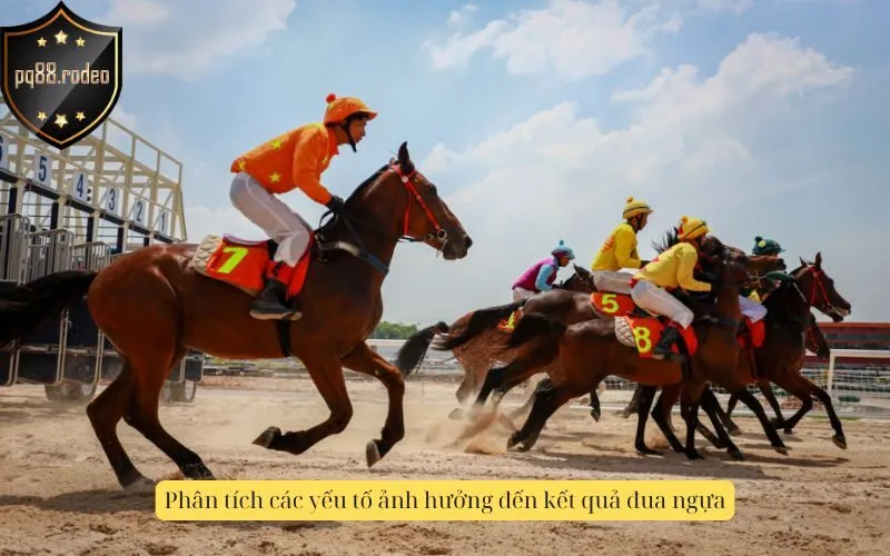 Phân tích các yếu tố ảnh hưởng đến kết quả đua ngựa