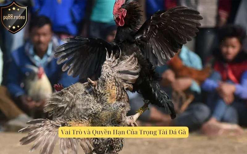 Vai Trò và Quyền Hạn Của Trọng Tài Đá Gà
