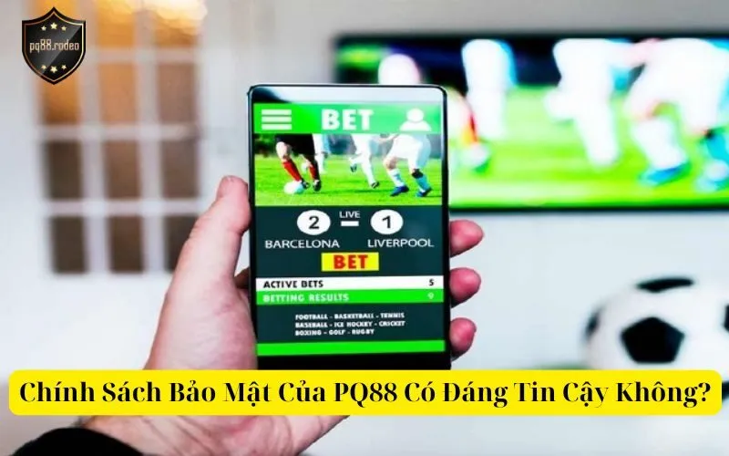 Chính Sách Bảo Mật Của PQ88 Có Đáng Tin Cậy Không