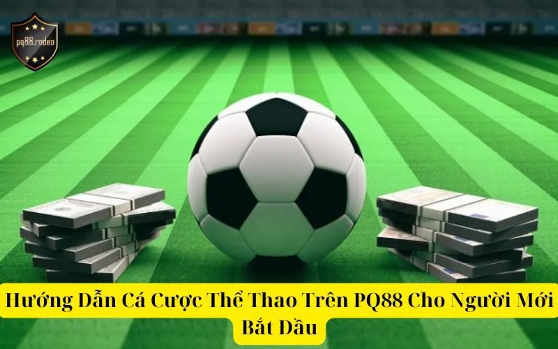 Hướng Dẫn Cá Cược Thể Thao Trên PQ88 Cho Người Mới Bắt Đầu